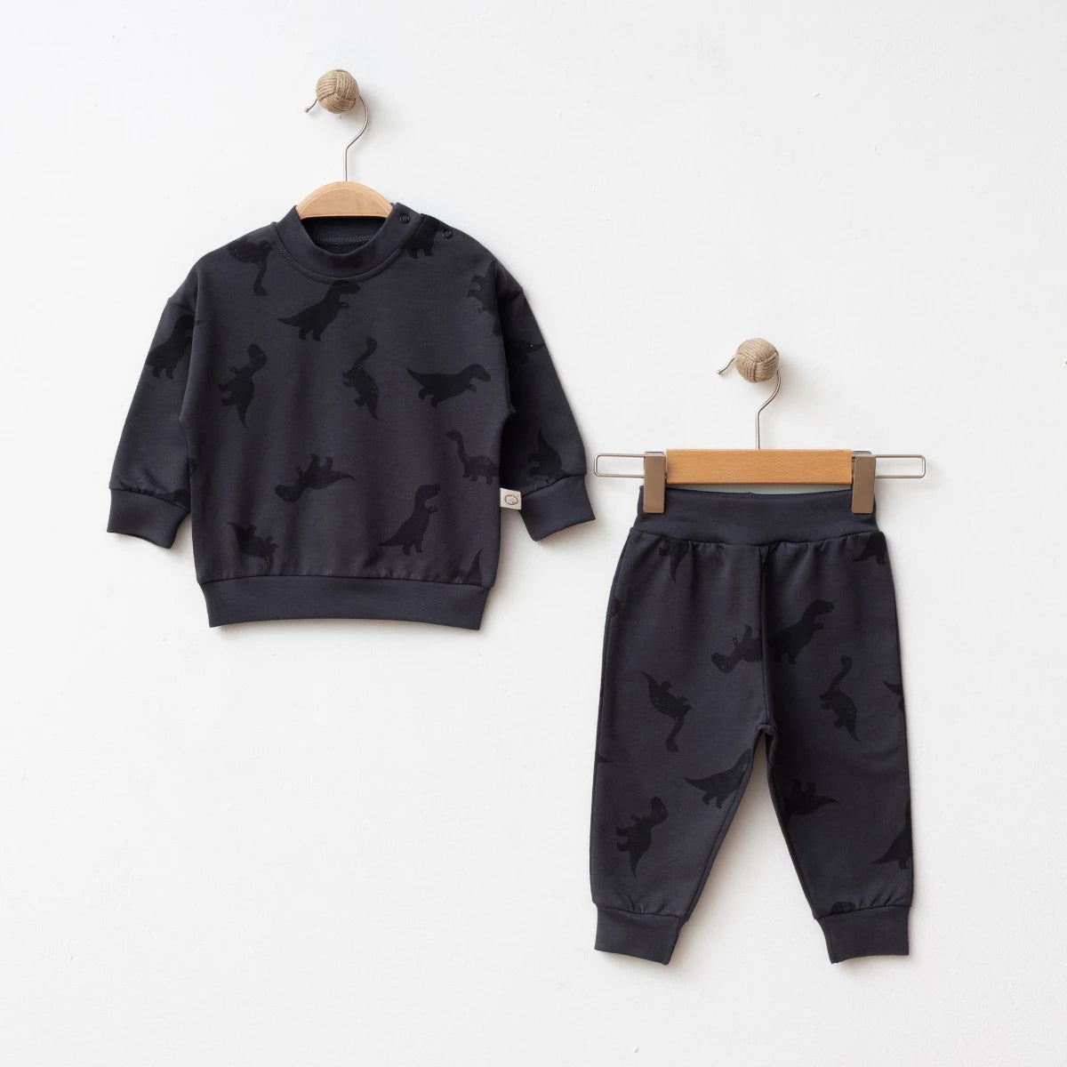 Baby Boy Dinosaur Outfit Set | Fun Dino-Themed Top & Bottoms