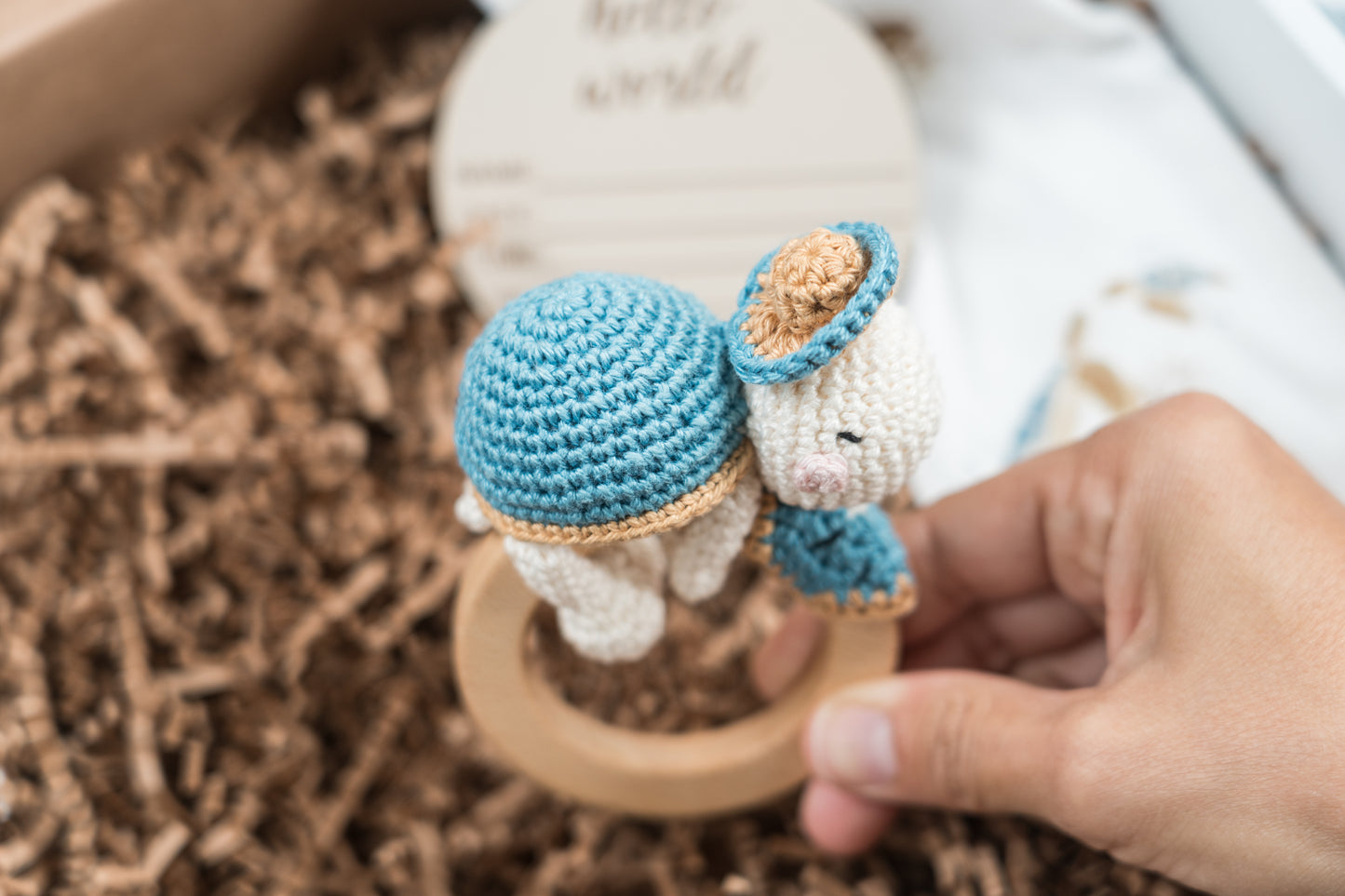 Sea Turtle Rattle