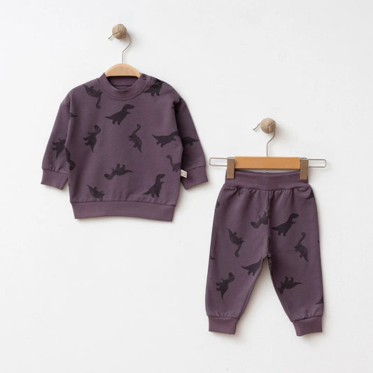 Baby Boy Dinosaur Outfit Set | Fun Dino-Themed Top & Bottoms
