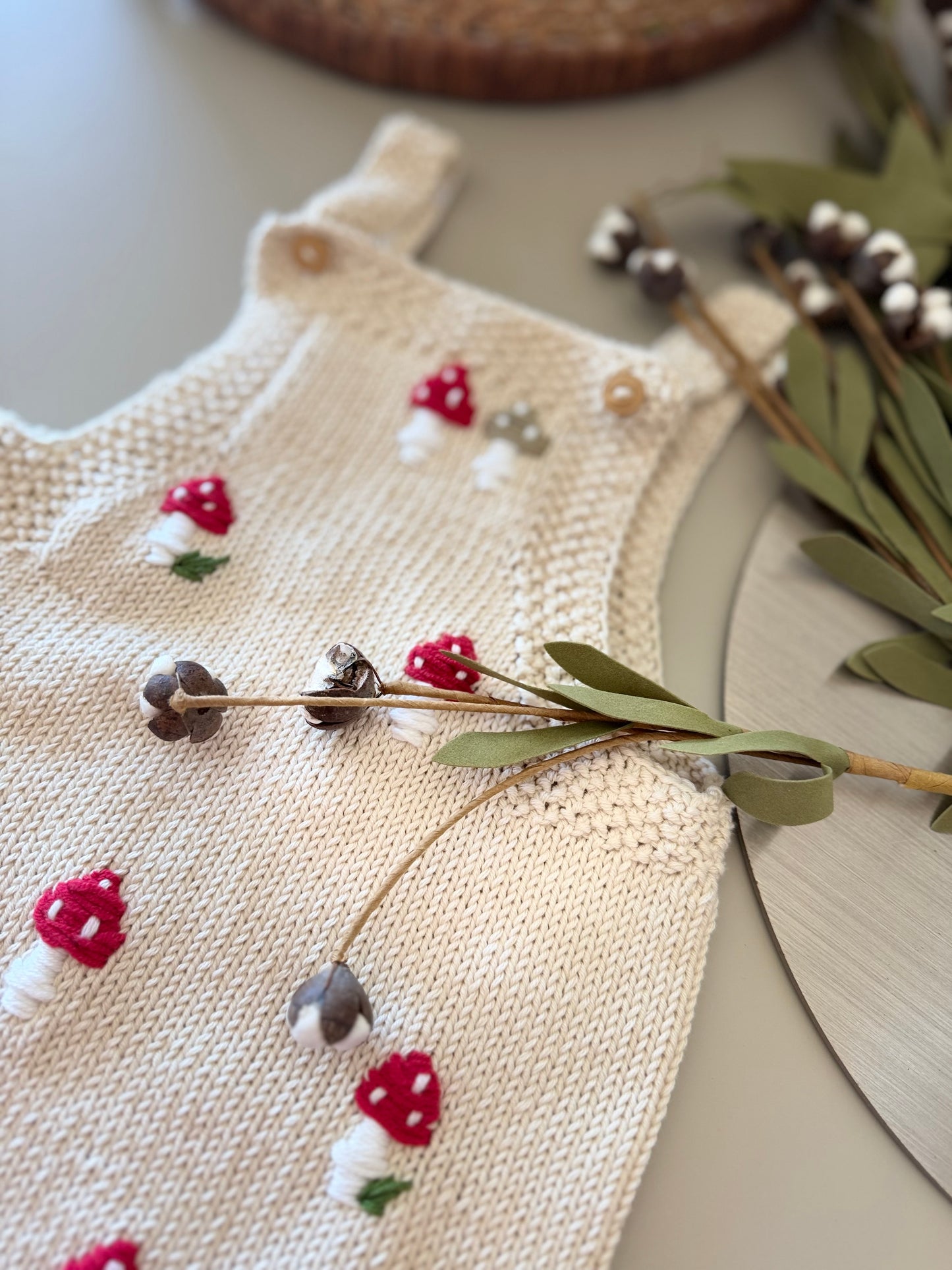 Handknit Mushroom Outfit 3-6M