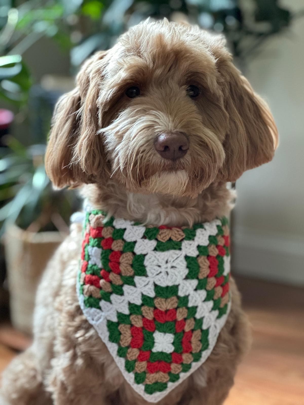 3-in-1 Crochet Granny Square Bandana – Handmade Headband, Pet Collar &Mom Neck Scarf | Colorful Boho Accessory | Retro Crochet Gift