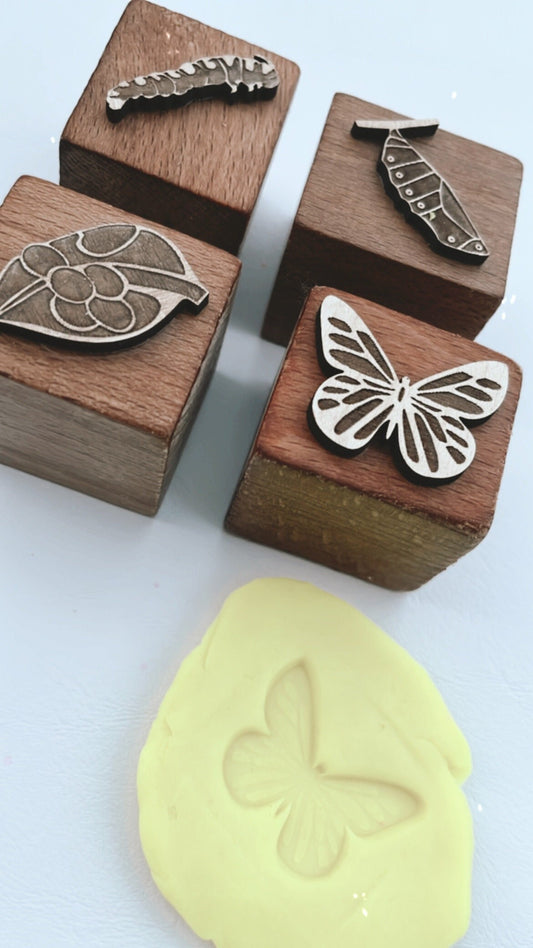 Butterfly Life Cycle Wooden Playdough Stamps | Butterfly Playdough Cutter