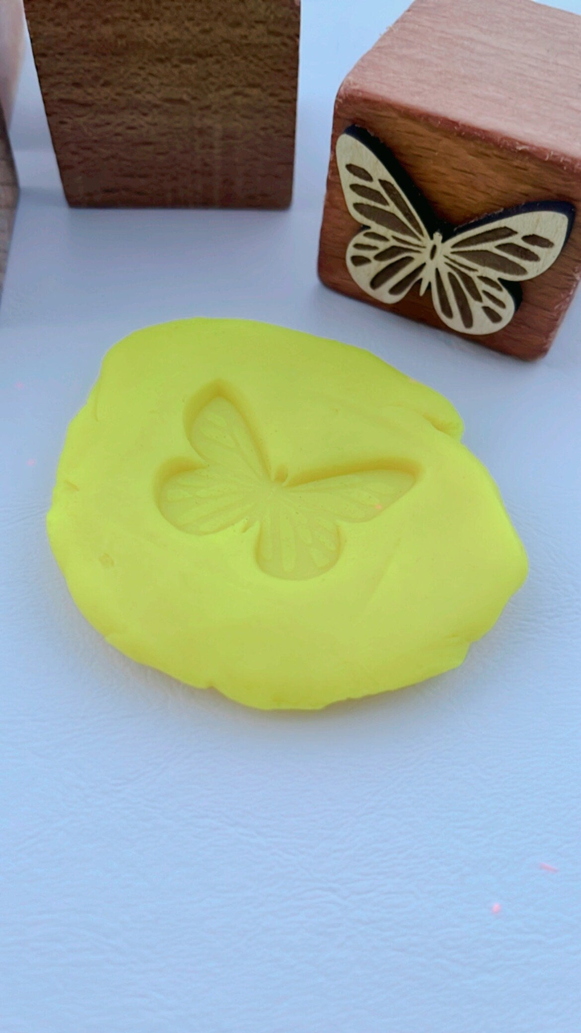 Butterfly Life Cycle Wooden Playdough Stamps | Butterfly Playdough Cutter