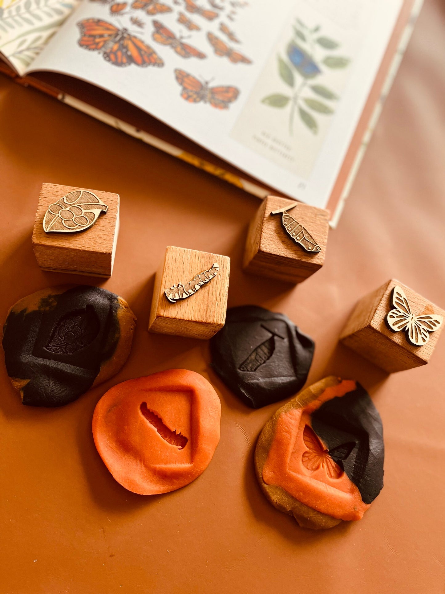 Butterfly Life Cycle Wooden Playdough Stamps | Butterfly Playdough Cutter